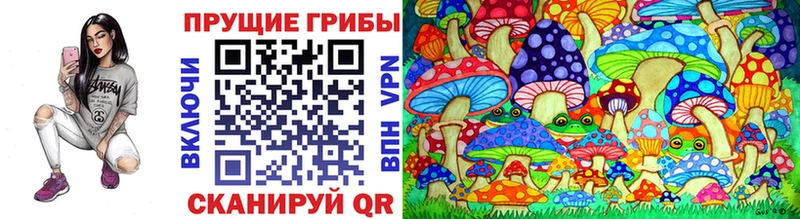 Галлюциногенные грибы Psilocybe  Купить где  Анива 