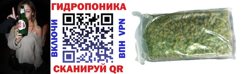 Каннабис планчик  Купить  Анива 